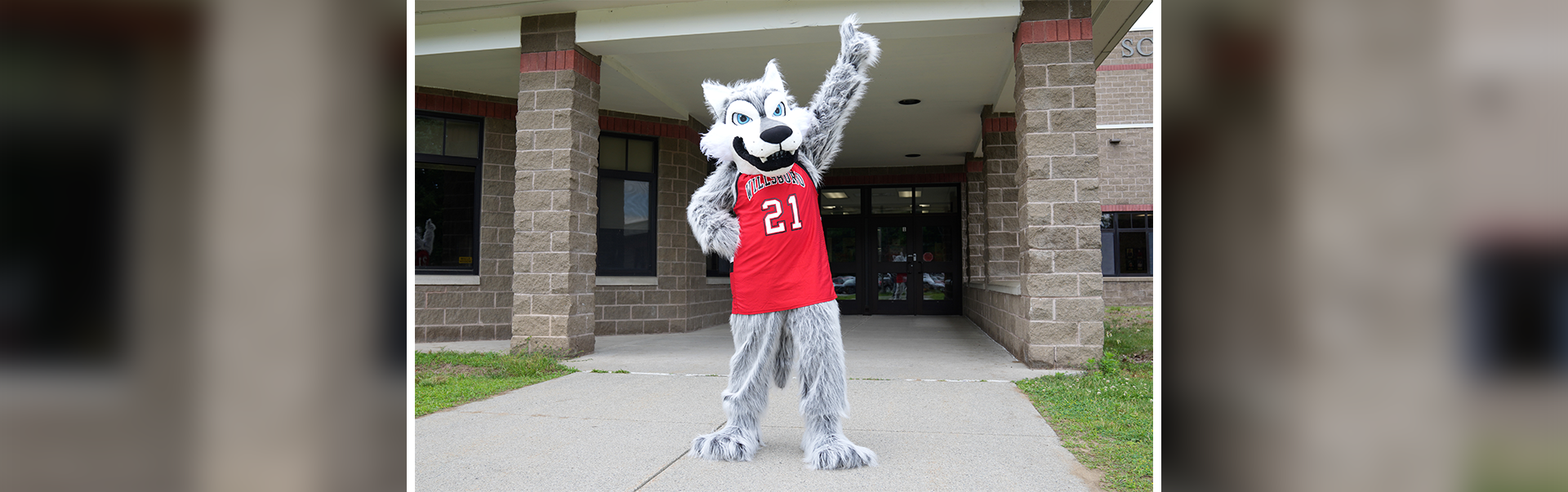 Image of the Willsboro Wolves Mascot. 